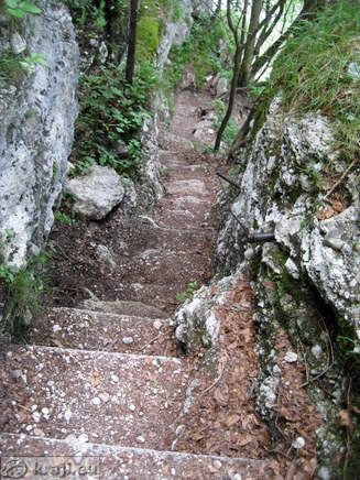 Short walk between lower and upper waterfall