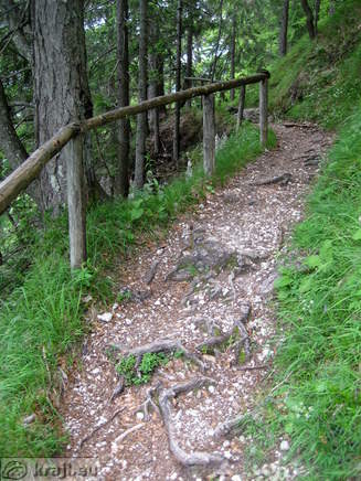 Last part of the path to the Upper Pericnik Fall