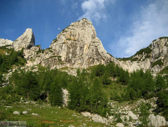 Kurica