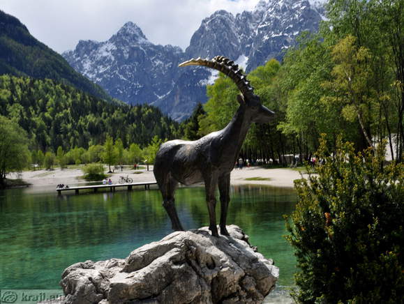 Bronasti kozorog pri jezeru Jasna