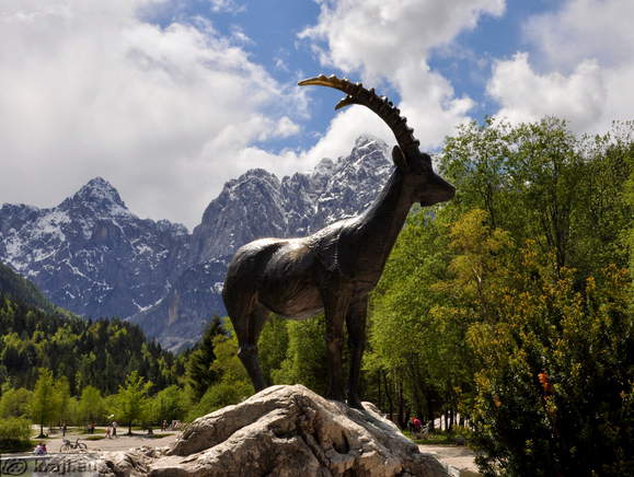 Kip kozoroga na poti na Vršič