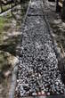 Kneipp Path - Kneipp Path - Pebble direction 