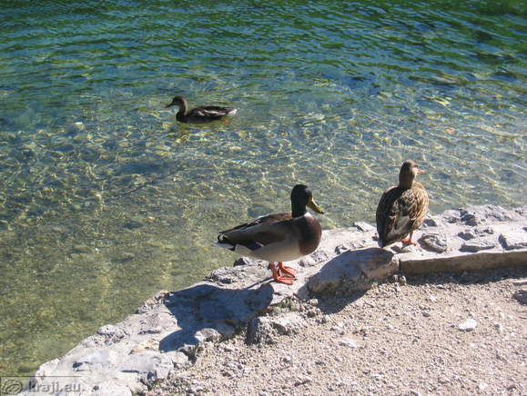 Jasna See - Untersee