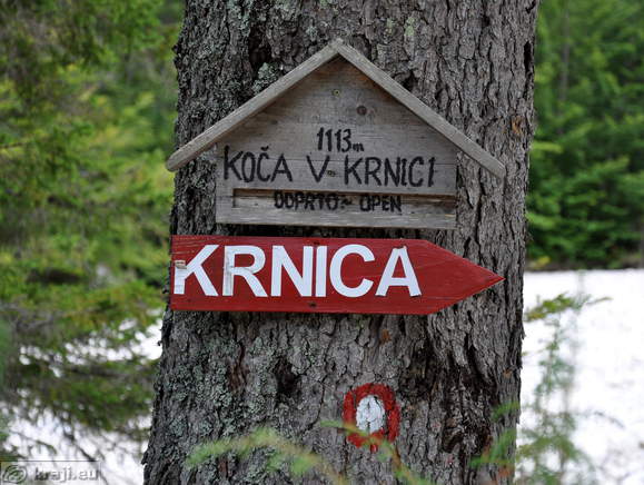 Krnica
