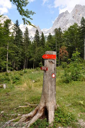 Krnica - Koca v Krnici