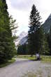 Cesta Planica-Tamar - Dolina Tamar 