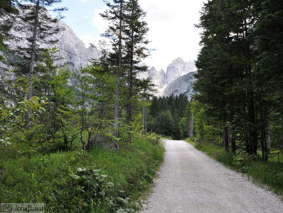 Strasse: Planica-Tamar