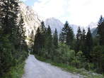 Cesta Planica-Tamar - Dolina Tamar 