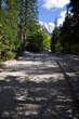 Cesta Planica-Tamar - Cesta proti dolini Tamar 