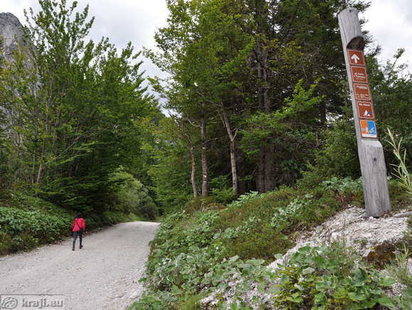 Höhenweg: Planica-Tamar
