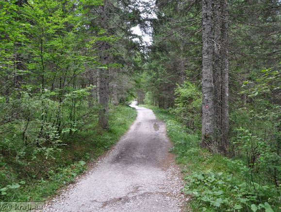 Höhenweg: Planica-Tamar
