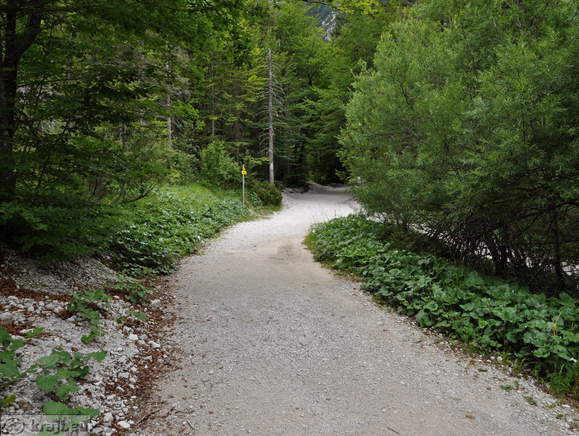 Höhenweg: Planica-Tamar