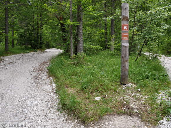 Höhenweg: Planica-Tamar