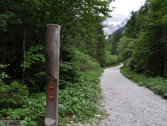 Höhenweg: Planica-Tamar