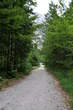 Walking Trail: Planica-Tamar - Easy trail in the Planica Valley 
