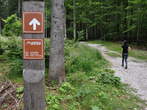 Walking Trail: Planica-Tamar - Information board - Mountain hut in Tamar, Nadiza fall 