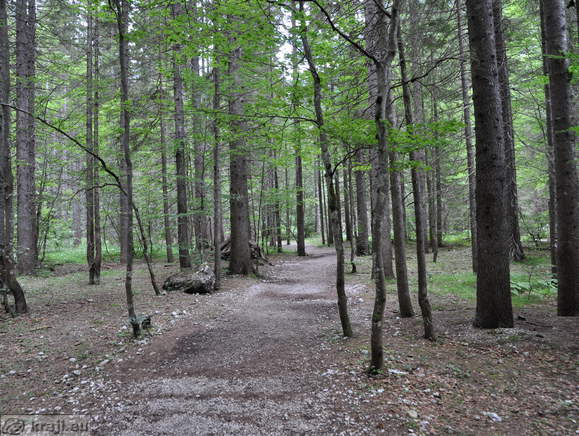 Höhenweg: Planica-Tamar