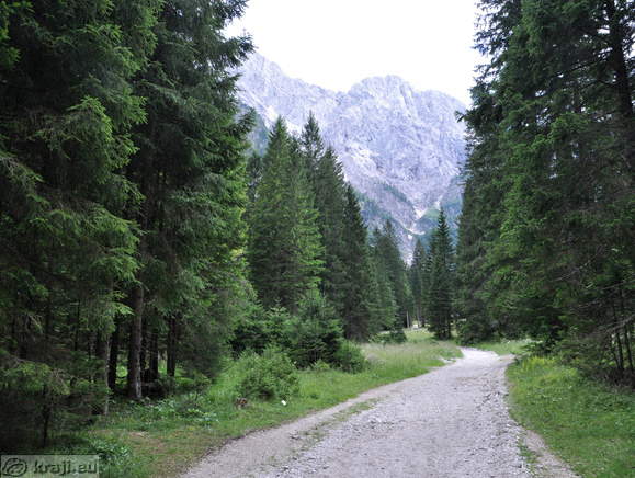 Höhenweg: Planica-Tamar