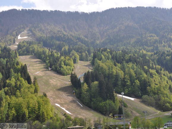 Alpine Ski World Cup Podkoren