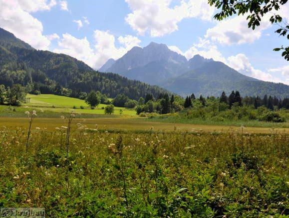 Zelenci - Holzsteg