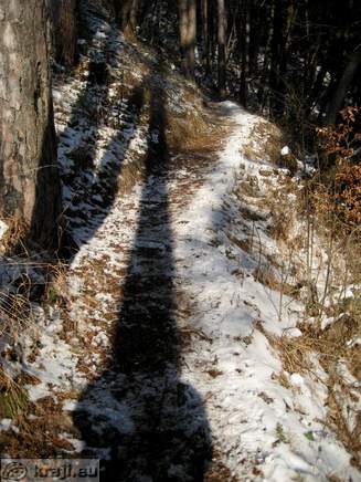 Turn Schloss - Josipina Turnograjska Laubengang