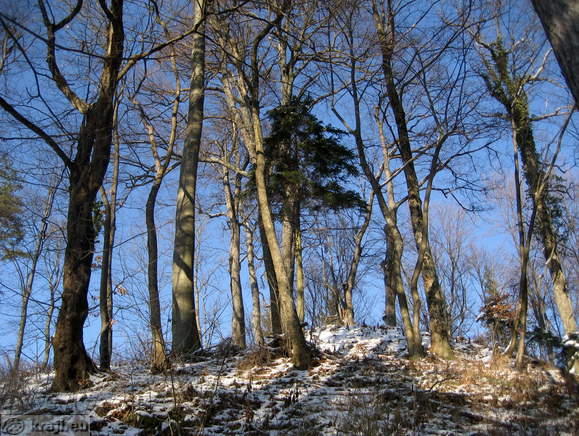 Turn Schloss - Josipina Turnograjska Laubengang