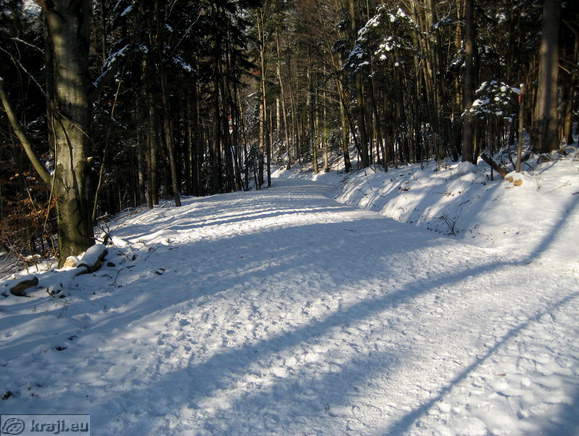 Turn Schloss - Josipina Turnograjska Laubengang