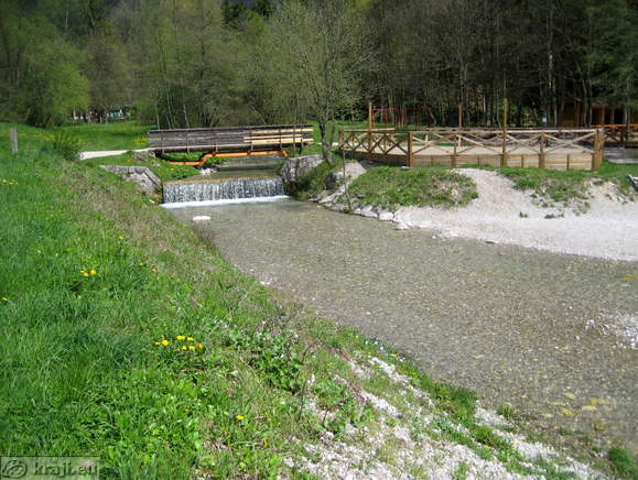 Bistrica Bach Quelle