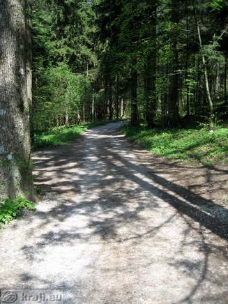 Bistrica Bach Quelle