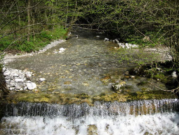 Bistrica Bach Quelle