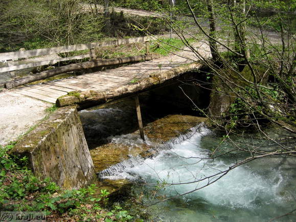 Bistrica Bach Quelle