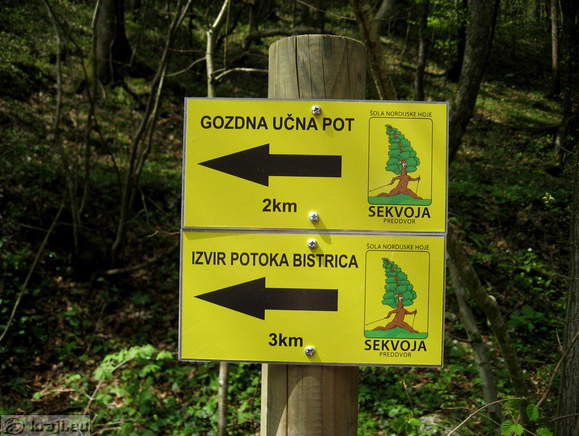 Bistrica Bach Quelle