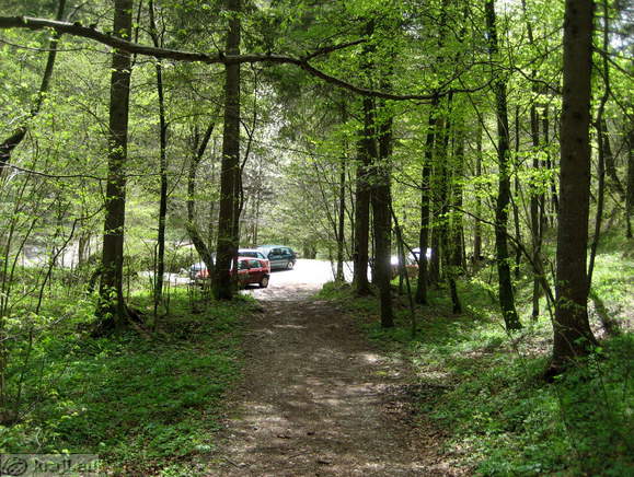 Bistrica Bach Quelle