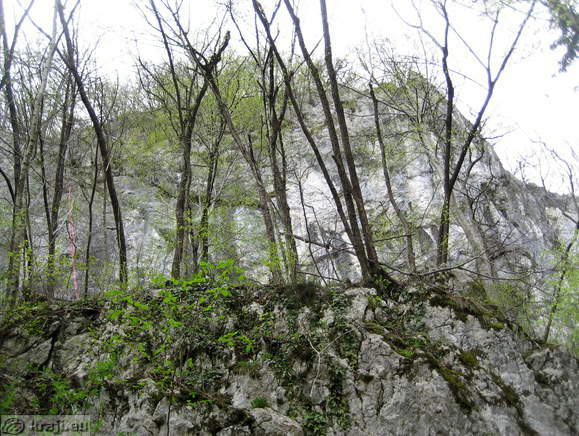 Izvir potoka Bistrica <br> Plezališče Preddvor