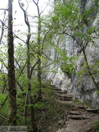 Bistrica Bach Quelle