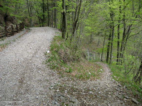 Bistrica Bach Quelle