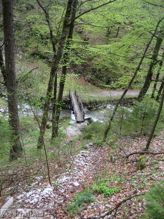 Bistrica Bach Quelle