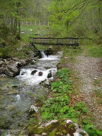 Bistrica Bach Quelle