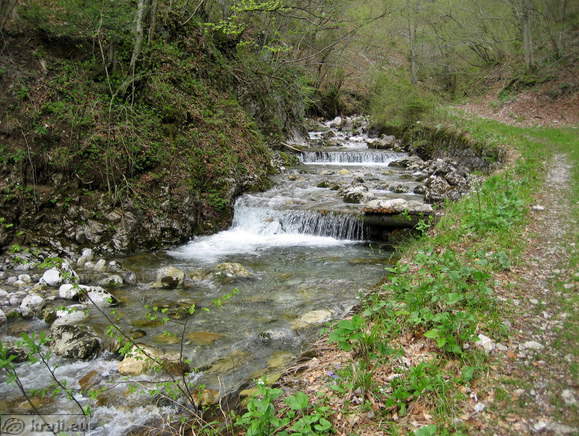 Bistrica Bach Quelle