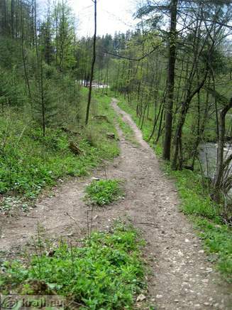 Bistrica Bach Quelle