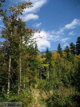 Bistrica Bach Quelle