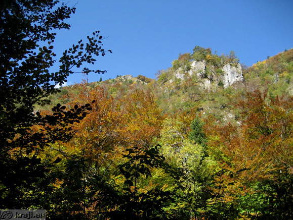 Bistrica Bach Quelle