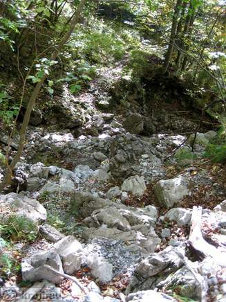 Bistrica Bach Quelle