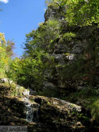 Bistrica Bach Quelle