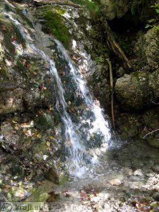 Bistrica Bach Quelle