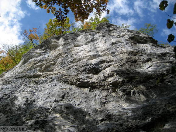 Bistrica Bach Quelle