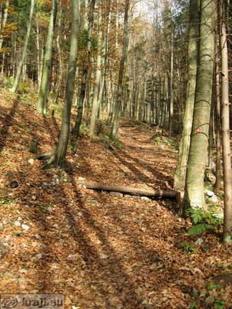 Neu Schloss (Waldenberg)