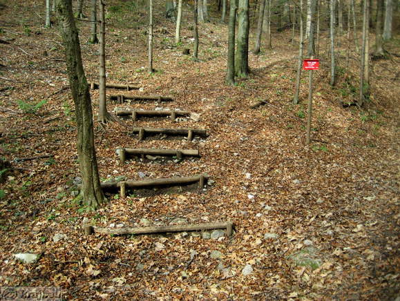 Neu Schloss (Waldenberg)