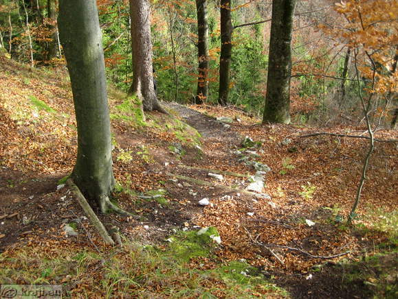 Neu Schloss (Waldenberg)