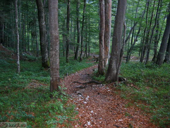 Kranska koca na Ledinah